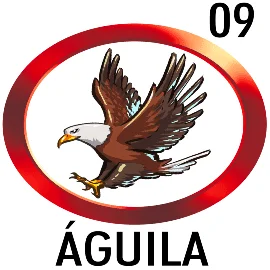 Lottoactivo 9