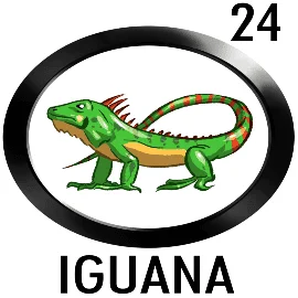Lottoactivo 24