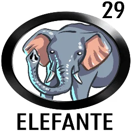 Lottoactivo 29