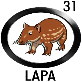 Lottoactivo 31